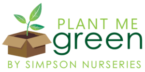 Plant Me Green logo